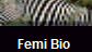 Femi Bio 