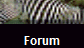 Forum