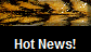 Hot News!