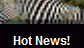 Hot News!