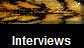 Interviews