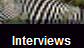 Interviews