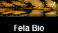 Fela Bio